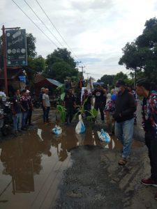 Kesal Jalan Rusak, LSM Barak Tanami Pohon